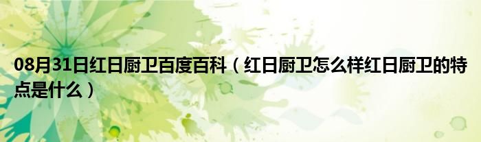 08月31日红日厨卫百度百科（红日厨卫怎么样红日厨卫的特点是什么）