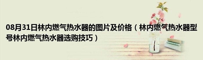 08月31日林内燃气热水器的图片及价格（林内燃气热水器型号林内燃气热水器选购技巧）