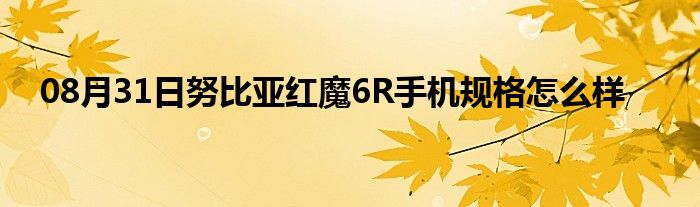 08月31日努比亚红魔6R手机规格怎么样