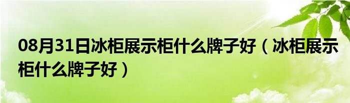 08月31日冰柜展示柜什么牌子好（冰柜展示柜什么牌子好）