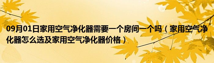 09月01日家用空气净化器需要一个房间一个吗（家用空气净化器怎么选及家用空气净化器价格）