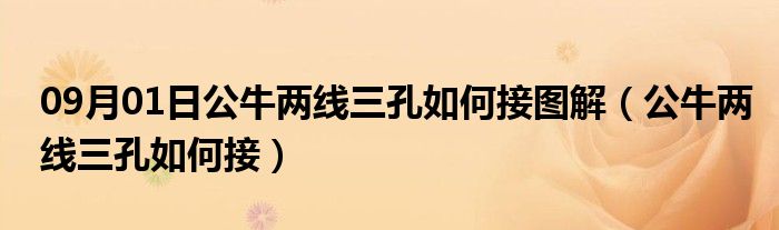 09月01日公牛两线三孔如何接图解（公牛两线三孔如何接）