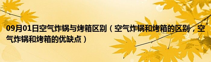 09月01日空气炸锅与烤箱区别（空气炸锅和烤箱的区别，空气炸锅和烤箱的优缺点）