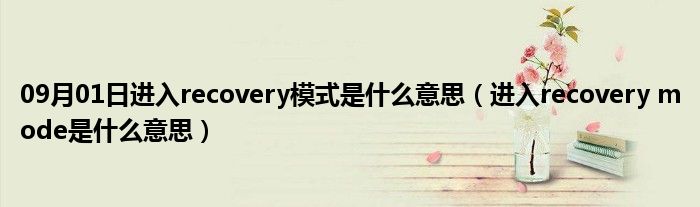 09月01日进入recovery模式是什么意思（进入recovery mode是什么意思）