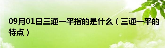 09月01日三通一平指的是什么（三通一平的特点）