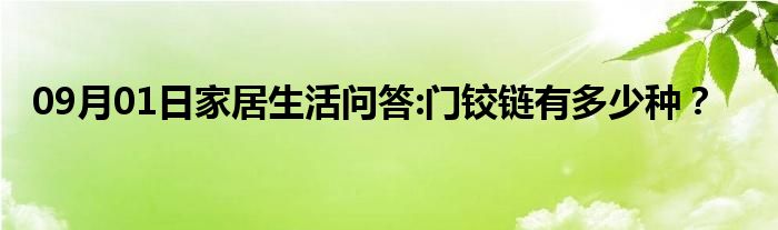 09月01日家居生活问答:门铰链有多少种？