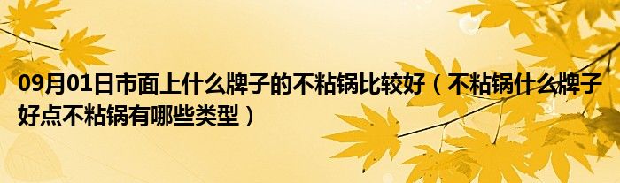 09月01日市面上什么牌子的不粘锅比较好（不粘锅什么牌子好点不粘锅有哪些类型）