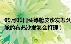 09月01日头等舱皮沙发怎么样（头等舱沙发适合家庭吗头等舱的布艺沙发怎么打理）