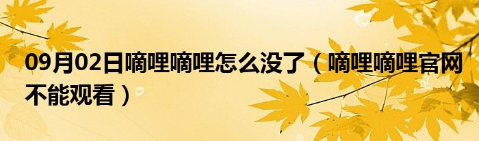 09月02日嘀哩嘀哩怎么没了（嘀哩嘀哩官网不能观看）