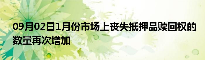 09月02日1月份市场上丧失抵押品赎回权的数量再次增加