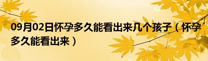 09月02日怀孕多久能看出来几个孩子（怀孕多久能看出来）