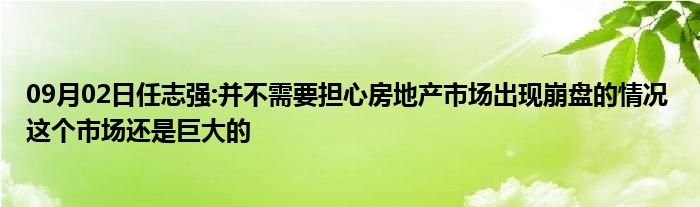 09月02日任志强:并不需要担心房地产市场出现崩盘的情况 这个市场还是巨大的