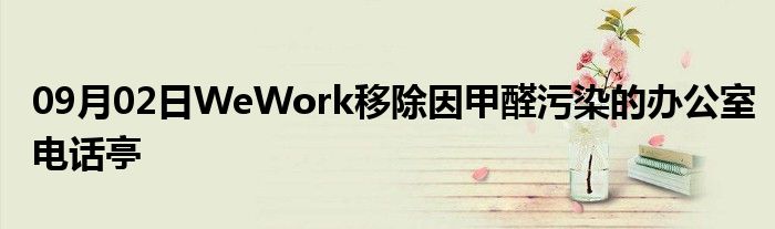 09月02日WeWork移除因甲醛污染的办公室电话亭