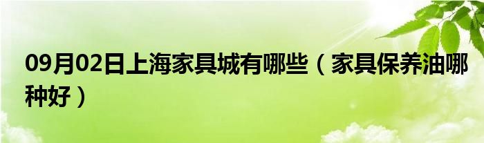 09月02日上海家具城有哪些（家具保养油哪种好）