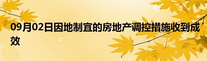 09月02日因地制宜的房地产调控措施收到成效