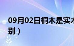 09月02日桐木是实木吗（泡桐木和桐木的区别）