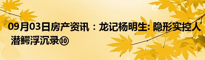 09月03日房产资讯：龙记杨明生: 隐形实控人 潜鳄浮沉录⑩