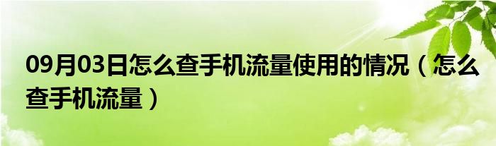 09月03日怎么查手机流量使用的情况（怎么查手机流量）