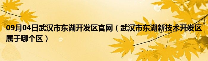 09月04日武汉市东湖开发区官网（武汉市东湖新技术开发区属于哪个区）