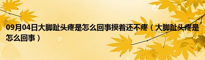 09月04日大脚趾头疼是怎么回事摸着还不疼（大脚趾头疼是怎么回事）