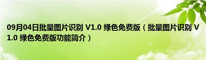 09月04日批量图片识别 V1.0 绿色免费版（批量图片识别 V1.0 绿色免费版功能简介）