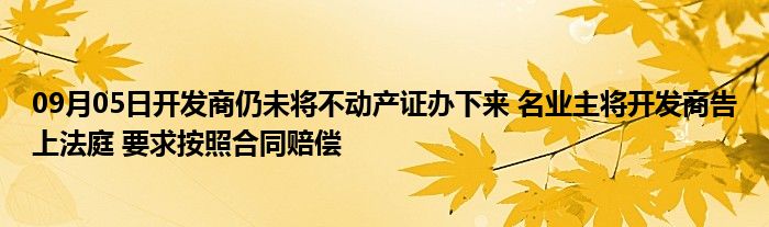 09月05日开发商仍未将不动产证办下来 名业主将开发商告上法庭 要求按照合同赔偿