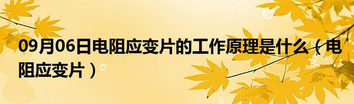 09月06日电阻应变片的工作原理是什么（电阻应变片）