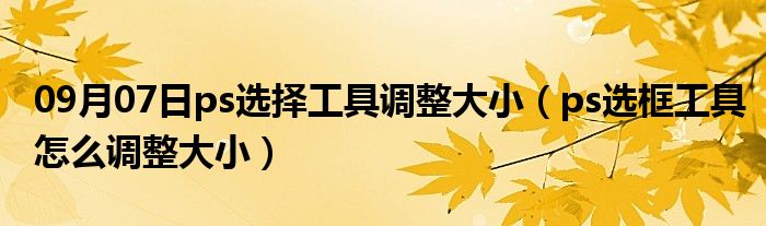 09月07日ps选择工具调整大小（ps选框工具怎么调整大小）