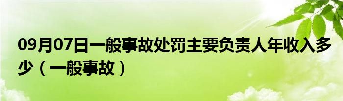 09月07日一般事故处罚主要负责人年收入多少（一般事故）