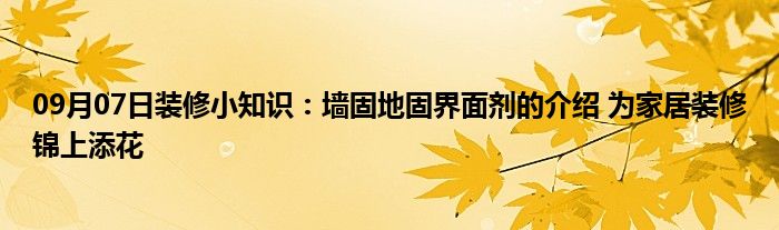 09月07日装修小知识：墙固地固界面剂的介绍 为家居装修锦上添花