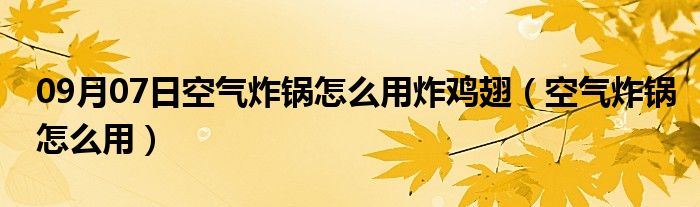 09月07日空气炸锅怎么用炸鸡翅（空气炸锅怎么用）