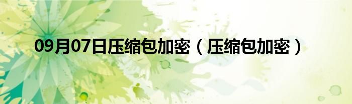 09月07日压缩包加密（压缩包加密）