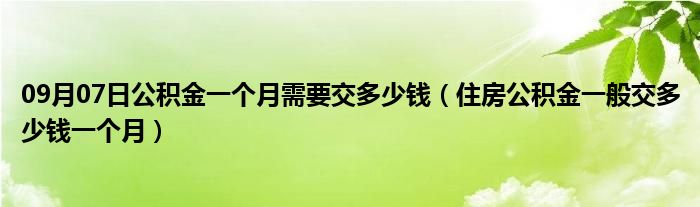 09月07日公积金一个月需要交多少钱（住房公积金一般交多少钱一个月）