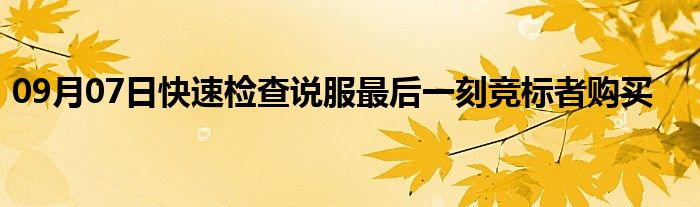 09月07日快速检查说服最后一刻竞标者购买