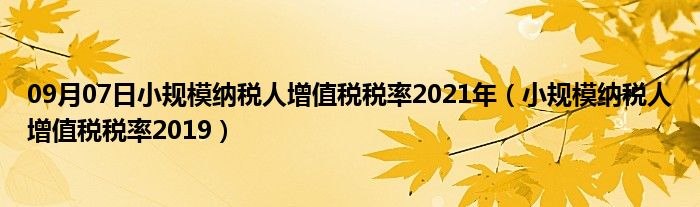 09月07日小规模纳税人增值税税率2021年（小规模纳税人增值税税率2019）