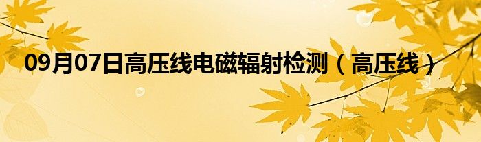 09月07日高压线电磁辐射检测（高压线）