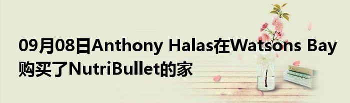 09月08日Anthony Halas在Watsons Bay购买了NutriBullet的家