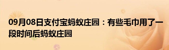 09月08日支付宝蚂蚁庄园：有些毛巾用了一段时间后蚂蚁庄园