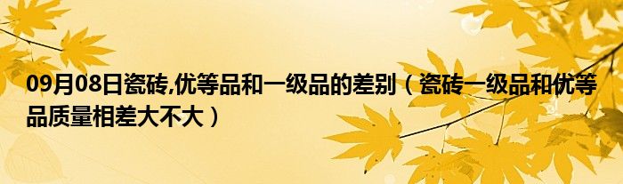 09月08日瓷砖,优等品和一级品的差别（瓷砖一级品和优等品质量相差大不大）