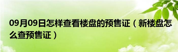 09月09日怎样查看楼盘的预售证（新楼盘怎么查预售证）