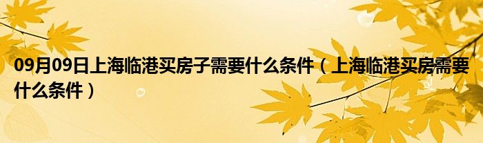 09月09日上海临港买房子需要什么条件（上海临港买房需要什么条件）