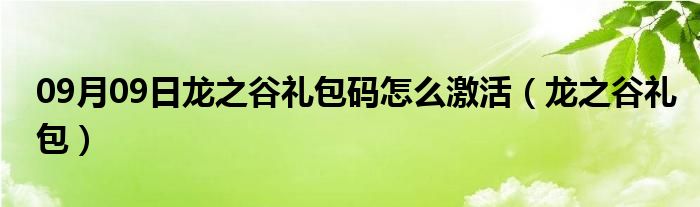 09月09日龙之谷礼包码怎么激活（龙之谷礼包）