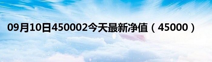 09月10日450002今天最新净值（45000）