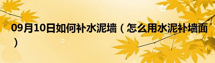 09月10日如何补水泥墙（怎么用水泥补墙面）