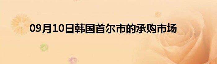 09月10日韩国首尔市的承购市场