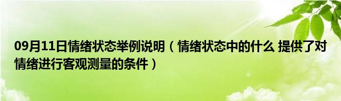 09月11日情绪状态举例说明（情绪状态中的什么 提供了对情绪进行客观测量的条件）