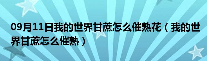 09月11日我的世界甘蔗怎么催熟花（我的世界甘蔗怎么催熟）