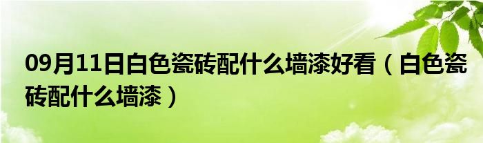 09月11日白色瓷砖配什么墙漆好看（白色瓷砖配什么墙漆）