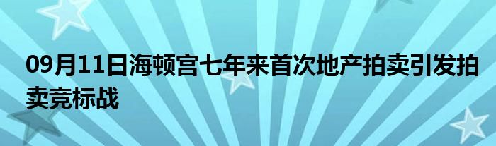 09月11日海顿宫七年来首次地产拍卖引发拍卖竞标战