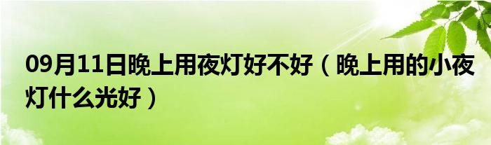 09月11日晚上用夜灯好不好（晚上用的小夜灯什么光好）